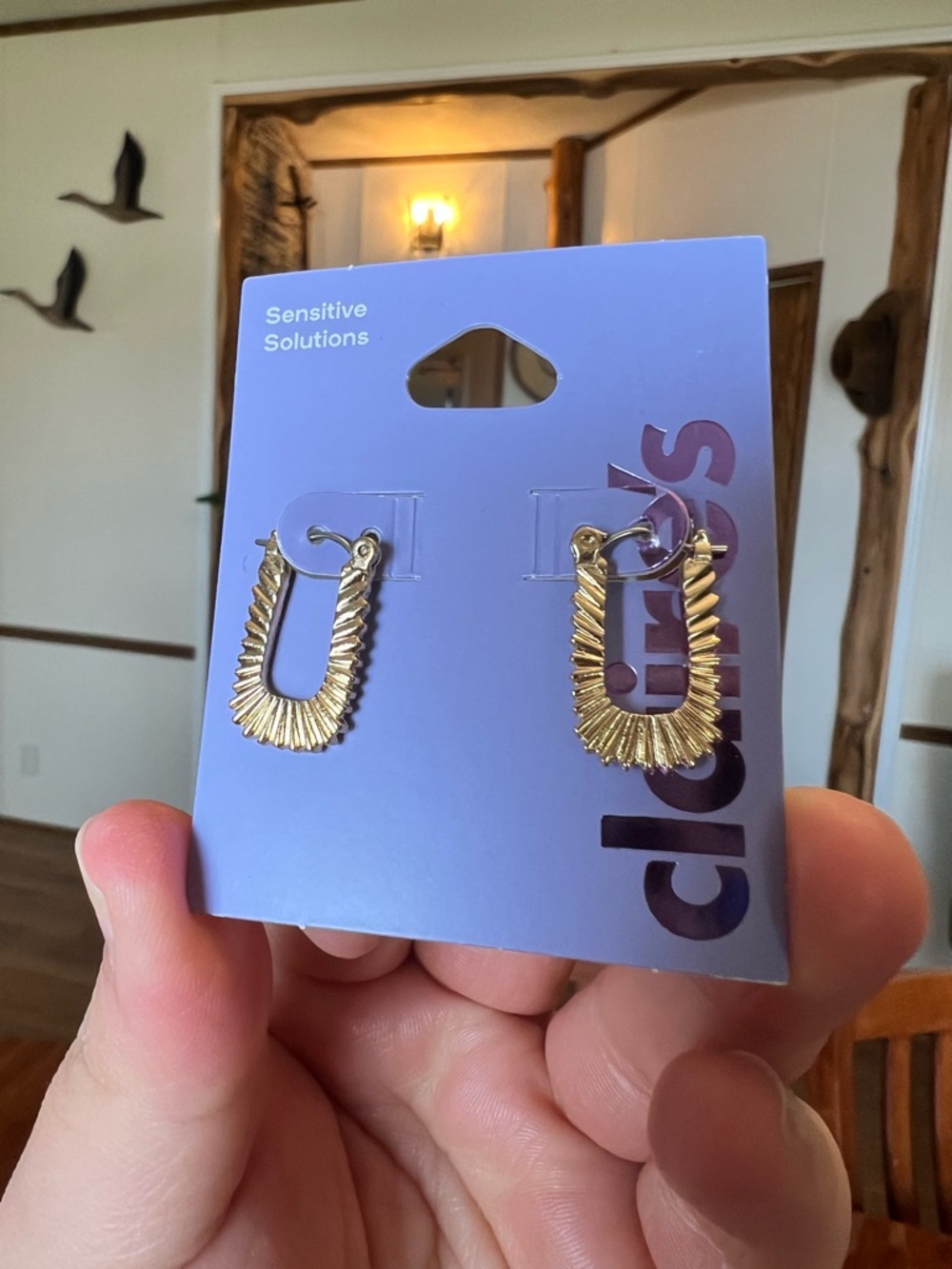 Hoop Earrings - Clip-ons